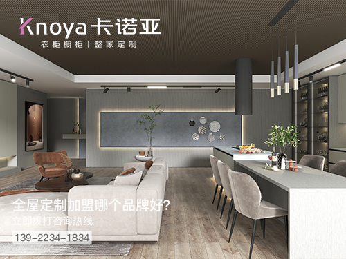 河池市全屋定制加盟哪个品牌好 河池市全屋定制加盟哪个品牌好